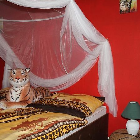 Ferienwohnungen Sansibar Kasnevitz Exteriér fotografie